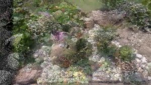 Альпийская горка это изюминка на даче