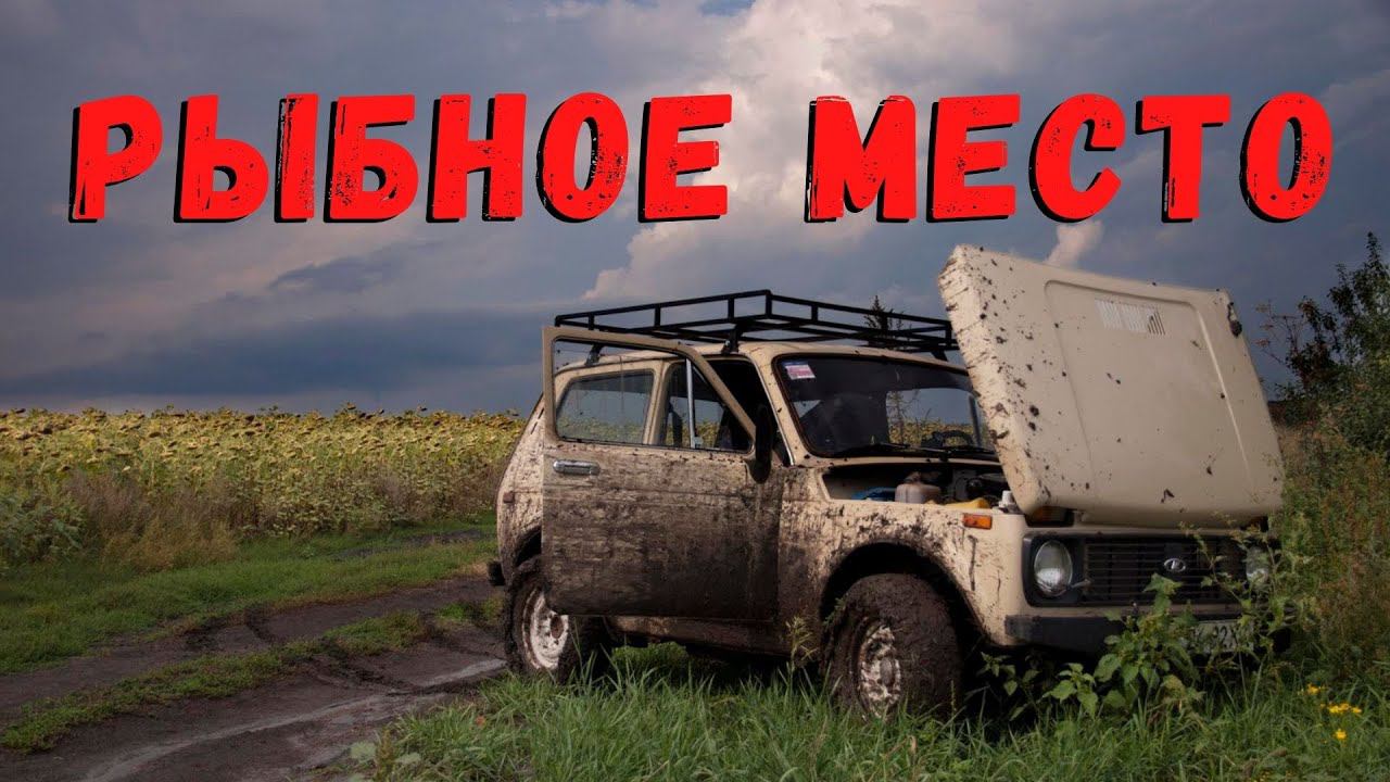 РЫБНОЕ МЕСТО | Страшные истории