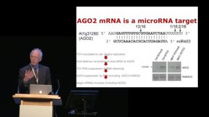 Sir David Baulcombe: 'The small RNA link in antiviral defence and epigenetics'