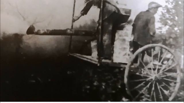 День России. «Сад-Гигант - Флагман плодоводства России» смотреть онлайн