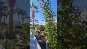 Обзор отеля Monte Carlo Sharm el Sheikh