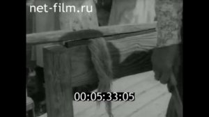 1987г. село Нижняя Синячиха Алапаевский район Свердловская область