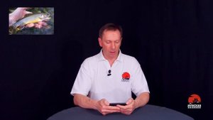 Нерестовый запрет Оренбургской области