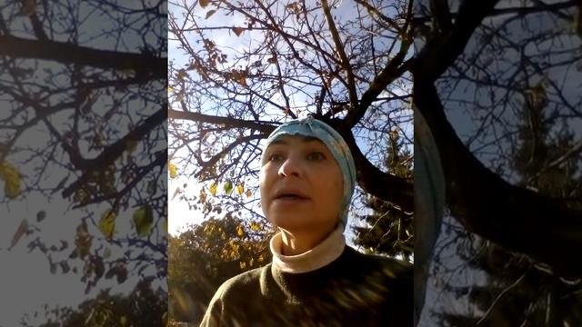 Дачный сезон.Прощание с Дачным сезоном.Мои пожелания всем огородникам.
