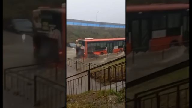 В Приморье повалены сотни деревьев