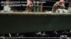 Инспекционный контроль продукции АО «Агрофирма «Восток»