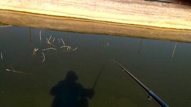 ПЕРВАЯ РЫБАЛКА В ЭТОМ СЕЗОНЕ (2017) ИСКУССТВЕННЫЙ ВОДОЕМ! смотреть онлайн