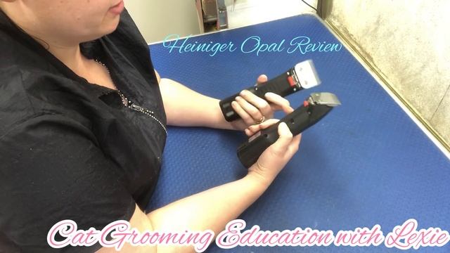 Heiniger Opal Review by Professional Cat and Dog Groomer, Lexie смотреть онлайн