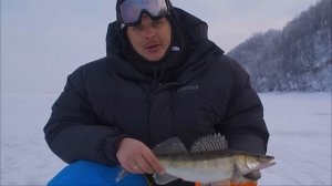⚠️НА ЭТОТ ВИБ ПОЙМАЕТ СУДАКА ДАЖЕ НОВИЧОК❗️Как поймать судака зимой в самый «тухлый» клёв.