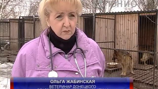 Ветпомощь смотреть онлайн