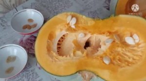 Проверяем семена тыквы