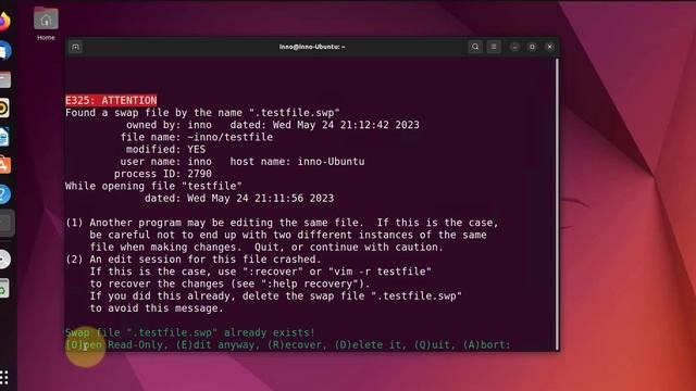 How To Fix Swap File Error When Using Vim or Vi on Linux смотреть онлайн