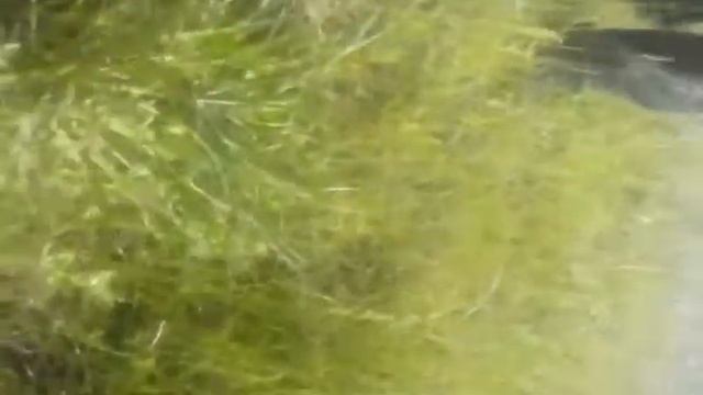 Камышин смотреть онлайн