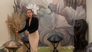 Летающая тарелка или самый современный музыкальный инструмент!!!