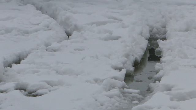 Следы руления Че-28 по мокрому снегу. смотреть онлайн