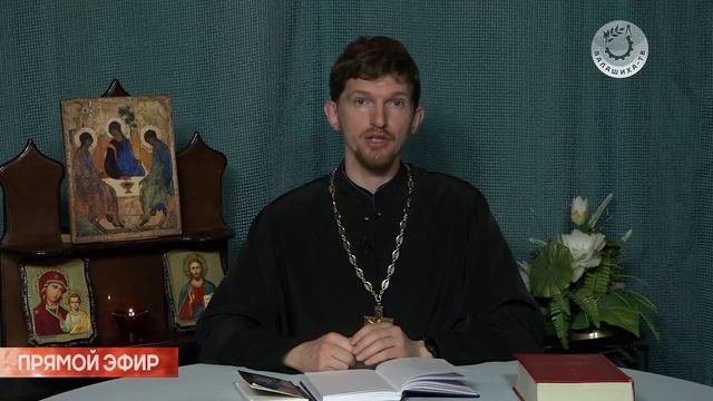 Балашихинское телевидение смотреть онлайн