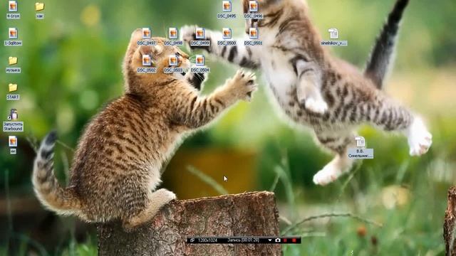 Как поменять ник в DayZ смотреть онлайн