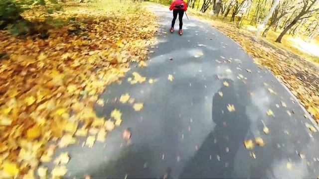 Саратов лыжероллерная трасса условия тренировок октябрь