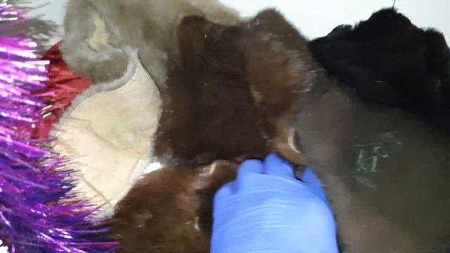 ??БАРАХОЛКА?☎️МАГАЗИН?ВСЯКАЯ ВСЯЧИНА??ТОВАРА?ТКАНИ?ОБЗОР ВРЕМЕН СССР УЖЕ В ПРОДАЖЕ ОСТРОВ СОКРОВИЩ