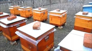 Какой же краской красить улья?