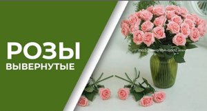 ВЫВЕРНУТЫЕ РОЗЫ _ СИЛИКОНОВЫЕ ЦВЕТЫ _ ОБЗОР