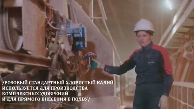 Стандартный розовый и гранулированный хлористый калий