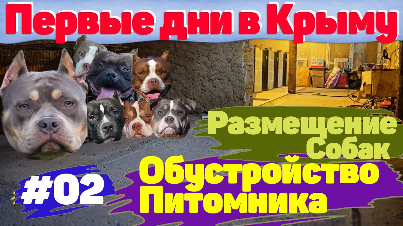 Переезд в Крым. Наши первые дни и начало обустройство питомника.