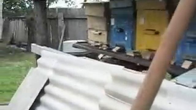 Миролюбие пчел Бакфаст от Леонида Русака смотреть онлайн