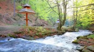 Muzică de Relaxare, Muzică pentru Meditatie, Muzică pentru Somn, Muzică Zen, Energie Pozitivă #2