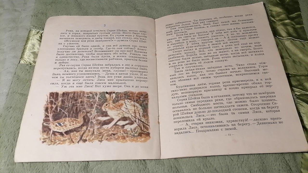 Детская книжка 
