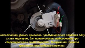 Zanussi ZWY61025CI. Фильтр слива воды. Где находится. Чистка.