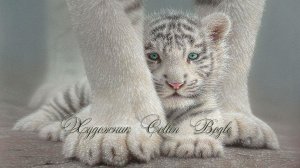 Использование света в естественных условиях*   Художник Collin Bogle