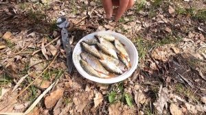 Рыбалка на Корочанском водохранилище .