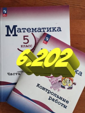 математика 5 класс номер 6.202