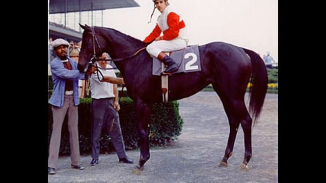 Биография Резвой смотреть онлайн