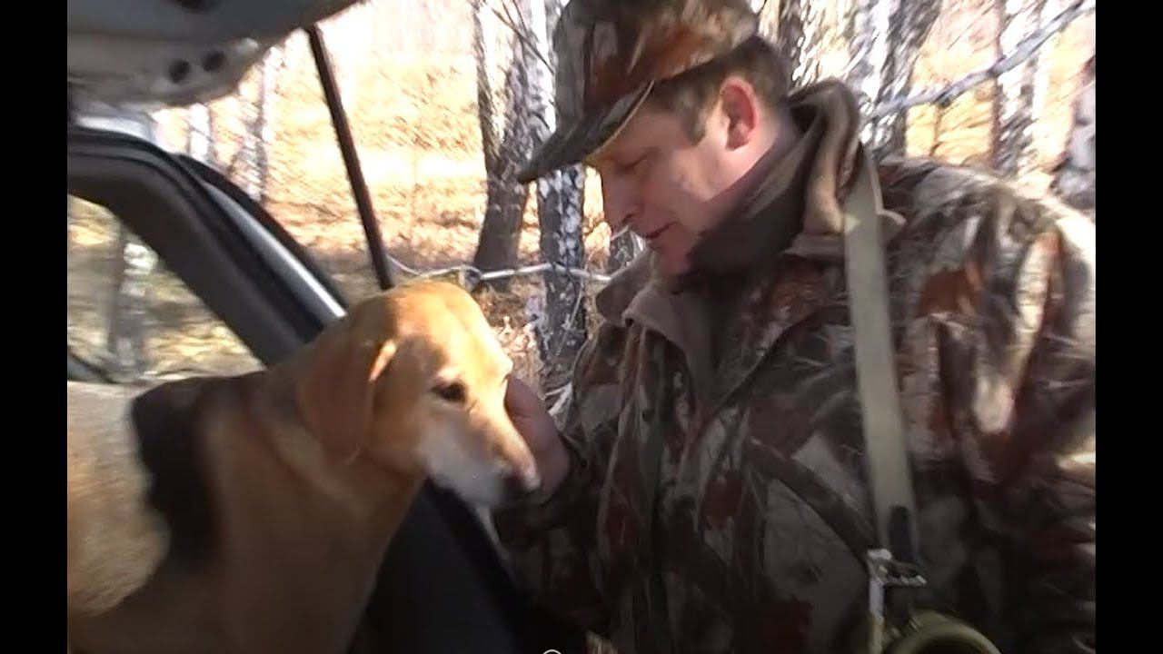 Когда-то давным давно, в одной из прошлых жизней .... смотреть онлайн
