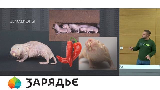 19.11.2019 «Зверские» технологии: учимся у животных