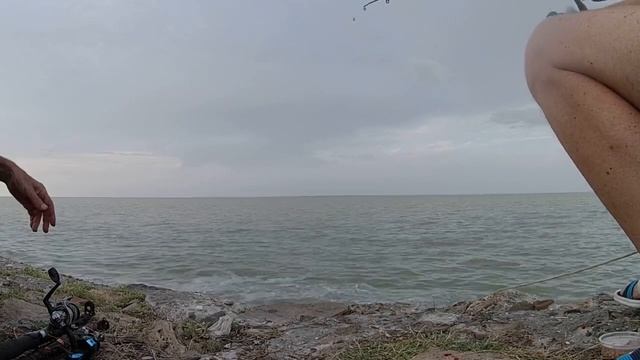 Ейск - рыбалка на Ейском лимане. Что, на что и как? смотреть онлайн