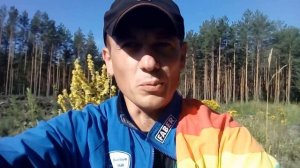 Чай с чабрецом - необычайно полезный и вкусный напиток