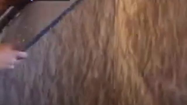 led телевизор toshiba regza смотреть онлайн