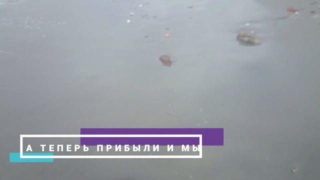 Дуррес, Албания. Поездка в Дуррес. Насколько безопасно в Албании