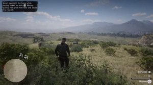 Red Dead Redemption 2 Finding and taming a male Grullo Dun Mustang