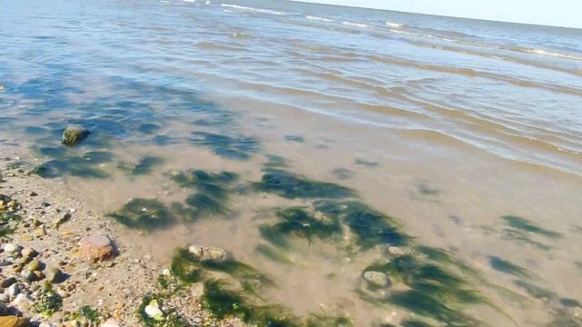 Живи и процветай любимый край  МАУК КДЦРодина