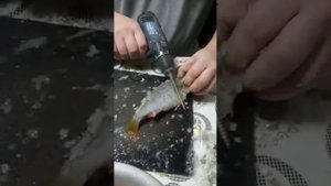 ПРОВЕРКА ЛАЙФХАКА- ЧИСТИМ ОКУНЯ ШУРУПОВЕРТОМ