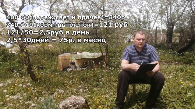 Бройлер кобб 500. ВЫГОДНО ЛИ ВЫРАЩИВАТЬ ДОМА НА САМОМ ДЕЛЕ? Что в итоге получилось у нас из опыта! смотреть онлайн