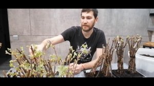 Кильчеватор против проращивания на воде, приготовление почвогрунта, посадка!