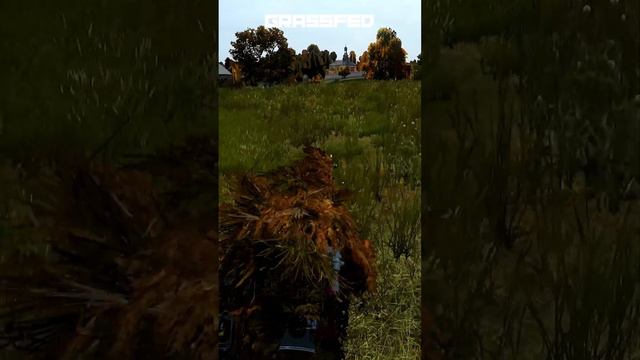 Day Z - Ghillie Diaries #dayz #gaming #hunter #survivalgames #dayzgame #dayzshort