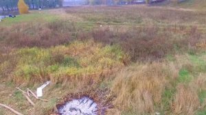 В Красково на речке Пехорка.Подмосковье