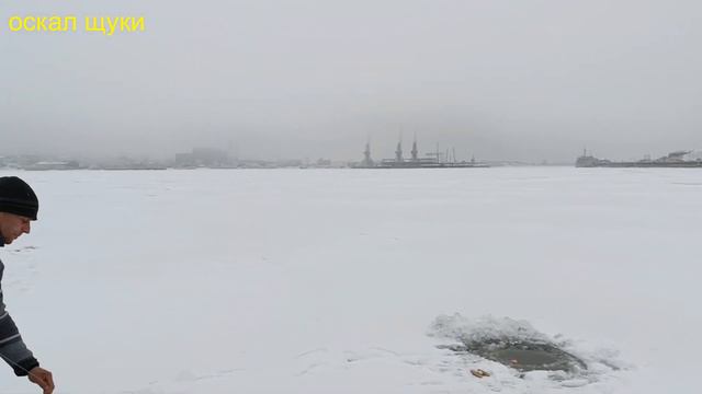 Рыбалка на судака хапугой(хлопок) смотреть онлайн