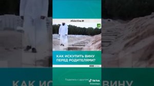 Как искупить вину перед родителями?